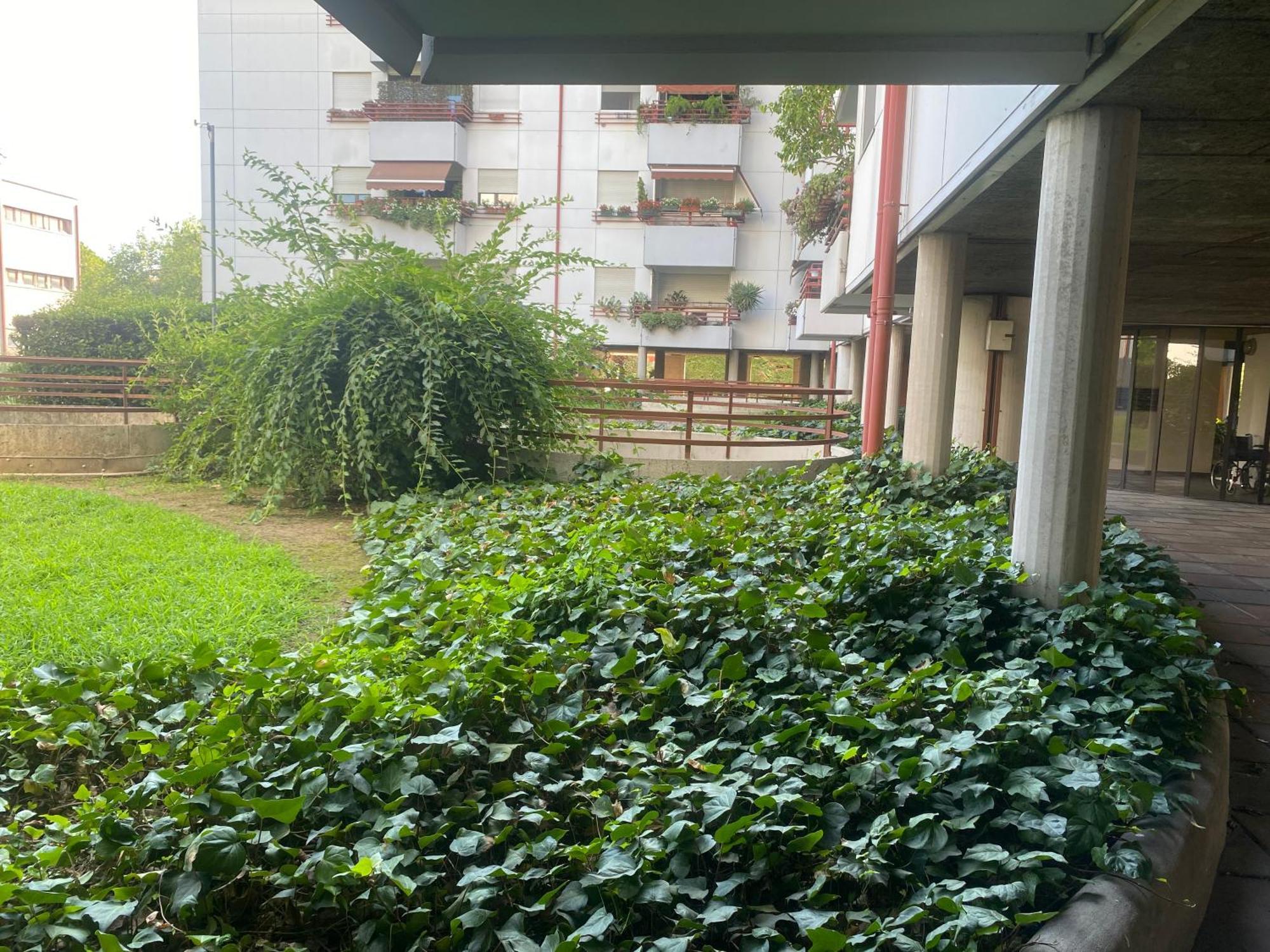 Apartamento La Belle Vue Verona Exterior foto